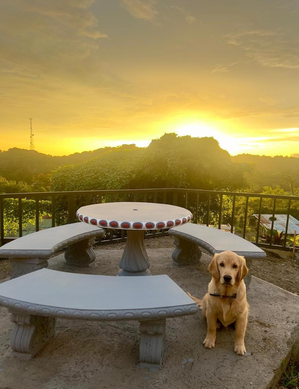 Вілла Casa Tipica La Cruz Monteverde Екстер'єр фото